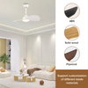 Modern Indoor Smart Bldc Led Light Ceiling Fan Small Space 2 Blades Ceiling Lamps with Fan
