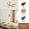 Household National Inverter Remote Control Ceiling Light Fan Silver Fan with Led Light Modern