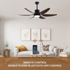 House Smart 54 Inch Dc 220v Motor 35W Light Source 24w Metal 6 Blade Ceiling Fan Led Fan Electric with Dimmable Light