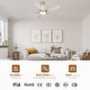 Indoor Smart 60 Inches Low Noise 220 Ceiling Fan Led Lamp Light for Dining Room with Fan