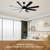Modern Design Indoor Black Ceiling Fan and Power Saving Energy Saving Lights with Remote Control