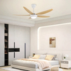 Family Room Smart Wifi 5 Blade ABS Led Bldc Ceiling Fan with Light and Remote for Decoration