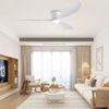 2025 Latest Modern Smart Lighted Ceiling Low Noise Fans Ceiling Lights and Fan for Bedroom