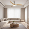 Modern Living Room Dining Room Nordic 220v Ceiling Fan with Led Lights and Remote Control for Home