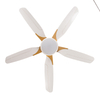 Modern Design Indoor Fancy Home Remote Control Ceiling Fans Lamp Fan Ceiling