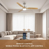 Indoor Smart Lamp Living Room Lights Modern bluetooth Ceiling Led Lights with Ceiling Fan