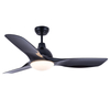 Modern Simple Ceiling Fan Lamp Remote Control Ceiling Fan With Light With ZhongShan Lighting