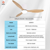 Decorative Mute 3 Blade Deluxe Solid Indoor Remote Control ABS Modern Ceiling Fan with Light