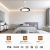 Smart Control Dc Led Modern Ledary Retractable 42 Inch Ceiling Fan with Lights Remote Control