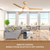 Modern Remote Control 52 Inch Indoor Ceiling Fan White Indoor Decorative Ceiling Fan With Light