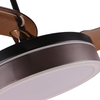 Decorative Remote Control Invisible Black Smart Retractable Modern Ceiling Fan With Light