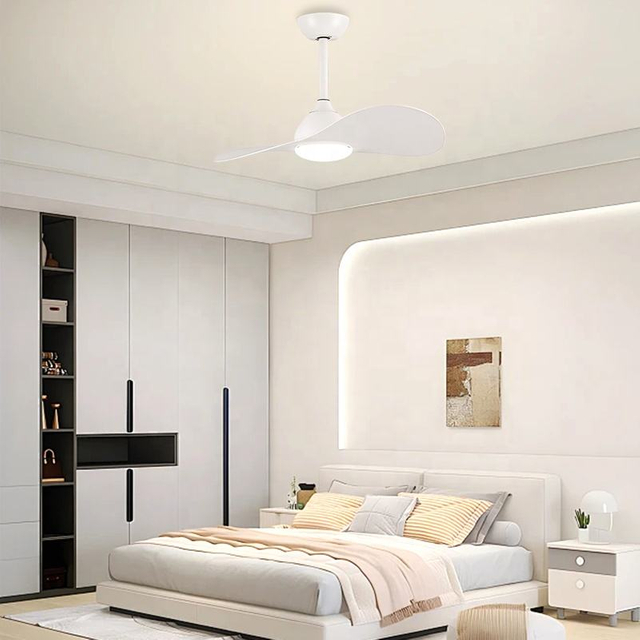 Modern Indoor Smart Bldc Led Light Ceiling Fan Small Space 2 Blades Ceiling Lamps with Fan