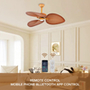 6 Speed 52inch Led Ceiling Fan and Matching Tropical Light Fan with Light and Remote Control