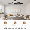 Modern Design Indoor Black Ceiling Fan and Power Saving Energy Saving Lights with Remote Control