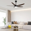 Modern Light Intelligent Voice Control Silent Ceiling Fan Abs Blades with Light and Remote