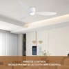 Modern Lighting Decoration Home Lamp Remote Control 52inch Ceiling Fan Light for Living Room