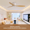 Fashion Design Remote Control 52 Inch Three Blades Six Wind Speeds Ceiling Fans