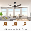 LED Ceiling Fan 5 Blades OEM Color Dimmable LED Light Ceiling Fan with Remote