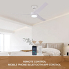 Odm Decorative Smart Lighting Fan Remote Control Ceiling Lamps Fan with Led Light for Restaurant